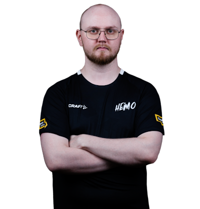 arvid, professional Counter-Strike 2 player