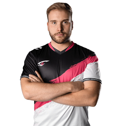 denis, professional Counter-Strike 2 player