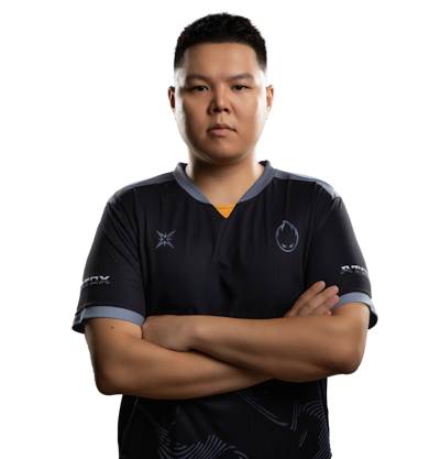 dobu, professional Counter-Strike 2 player