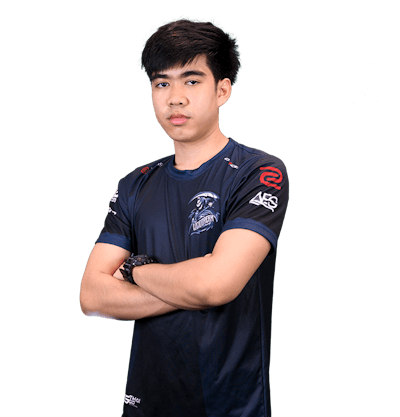 Geniuss, professional Counter-Strike 2 player