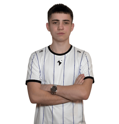 H0NeST, professional Counter-Strike 2 player