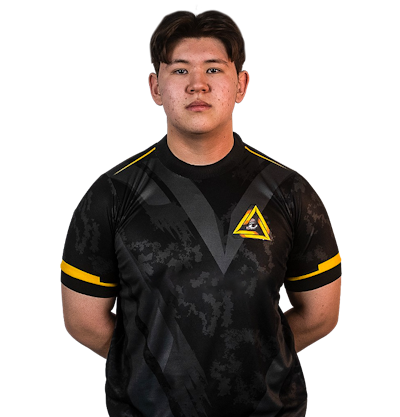 joel, professional Counter-Strike 2 player