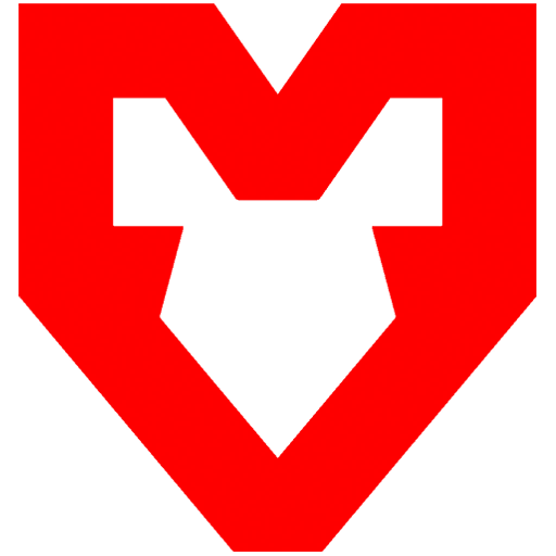 mouz, professional Counter-Strike 2 player