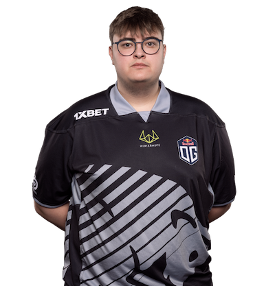 niko, professional Counter-Strike 2 player