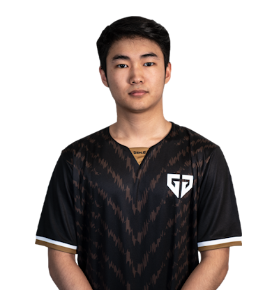 s0m, professional Counter-Strike 2 player