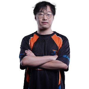 salmon, professional Counter-Strike 2 player