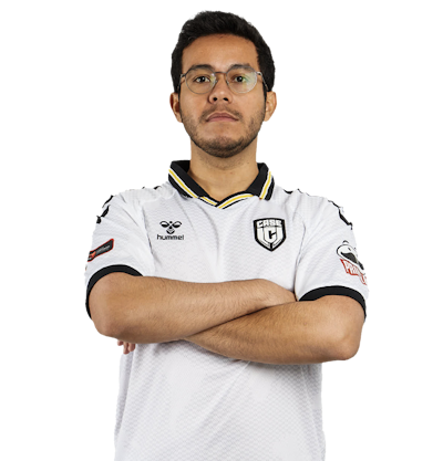 steel, professional Counter-Strike 2 player