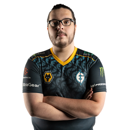 viz, professional Counter-Strike 2 player