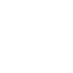 9z Team, teams