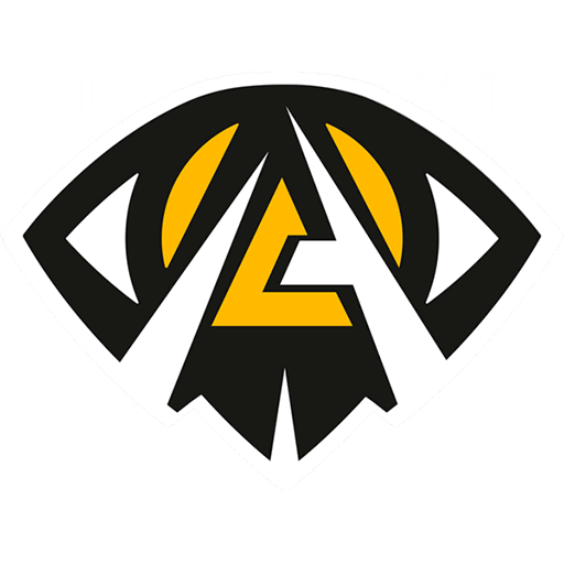 Anonymo Esports, teams