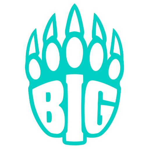 BIG Academy, teams