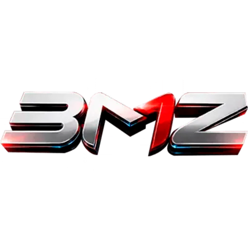 BMZ Esports, teams