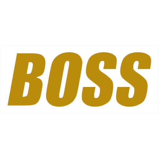 BOSS, teams
