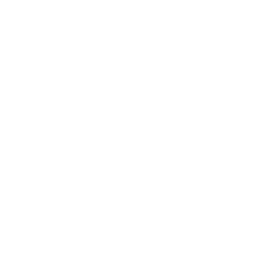 Bravado Gaming team crest