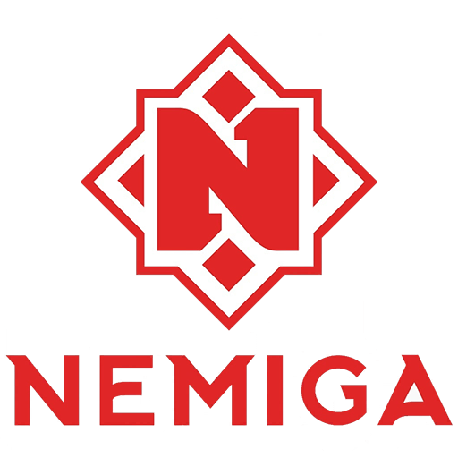Nemiga Gaming, teams