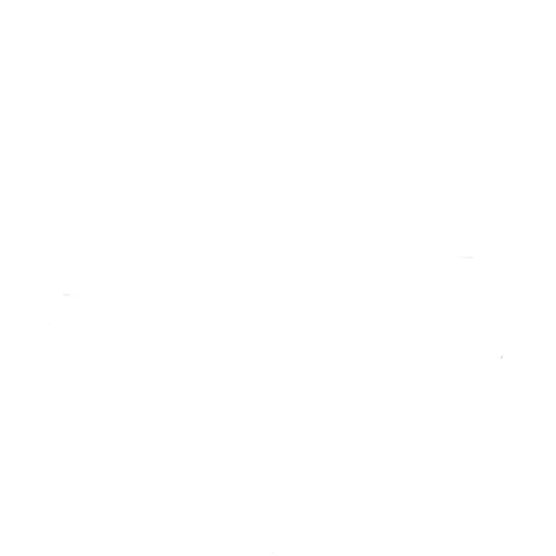 Partizan Esports, teams