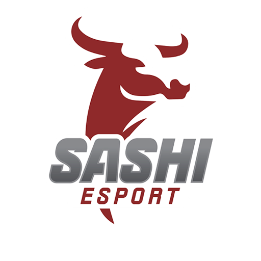 Sashi Academy, teams