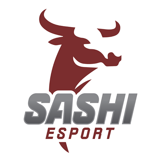 Sashi Esport, teams